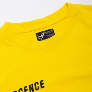 Massive Selection for China Cotton Material Custom Logo Clothing Promotional T Shirt