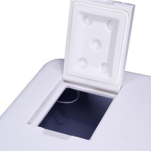 Factory Cheap Hot China Lotocool Lt-50d Portable Mini Freezer 50L Car Fridge for RV Boat Trucks